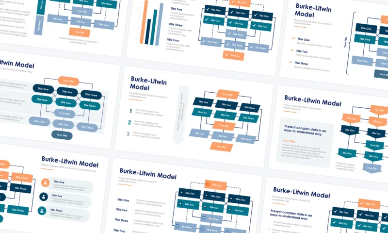 Burke Litwin Causal Model Slides